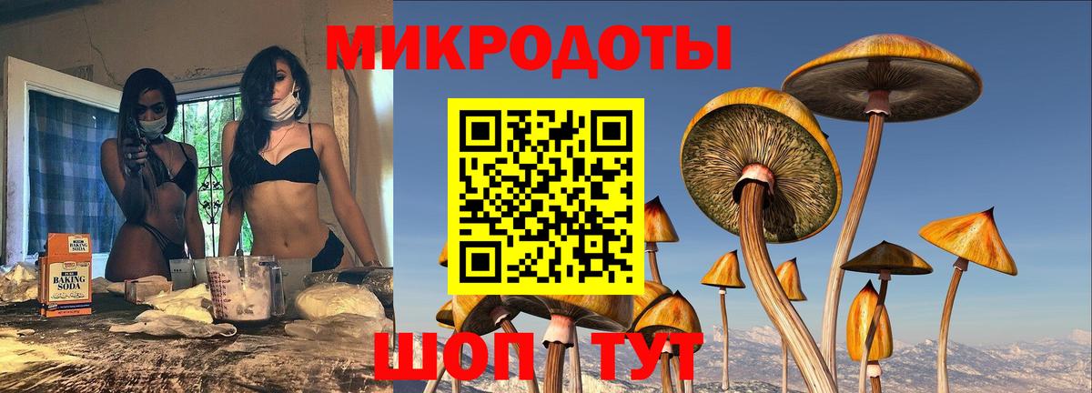 Серпухов  Псилоцибиновые грибы Psilocybine cubensis  Вход с VPN 
